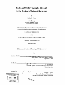 Scaling of Unitary Synaptic Strength