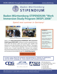 Baden-Württemberg-STIPENDIUM:     “Work Immersion Study Program (WISP) 2008”