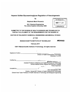 Heparan  Sulfate Glycosaminoglycan  Regulation  of Vasculogenesis 01 MAR 211