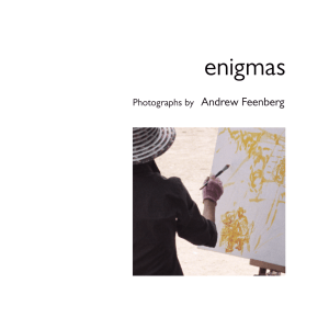 enigmas Andrew Feenberg Photographs by