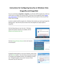 Instructions for Configuring Security on Windows Vista   Dragonfly and Dragonfly2 