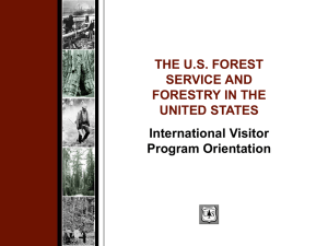 THE U.S. FOREST SERVICE AND FORESTRY IN THE UNITED STATES