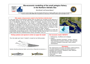 Bio-economic modelling of the small pelagics fishery