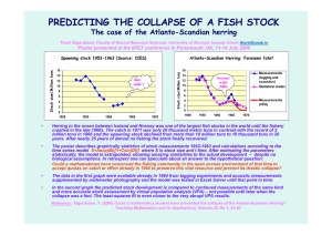 PREDICTING THE COLLAPSE OF A FISH STOCK herring