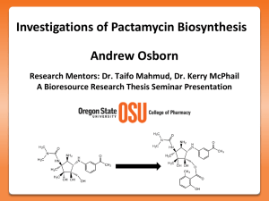 Investigations of Pactamycin Biosynthesis Andrew Osborn