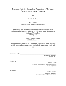 Transport Activity Dependent Regulation of the Yeast General Amino Acid Permease