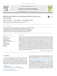 Mathematical model of macrophage-facilitated breast cancer cells invasion Hildur Knútsdóttir ,