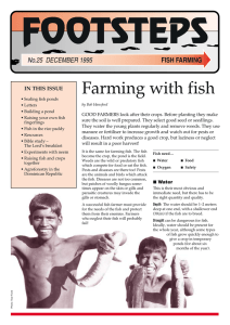 FOOTSTEPS Farming with fish FISH FARMING No.25  DECEMBER 1995