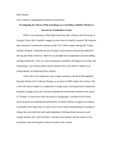 Kelly Murray UGA Libraries Undergraduate Research Award Essay