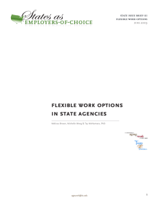 flexible work options in state agencies state issue brief 01 june 2009