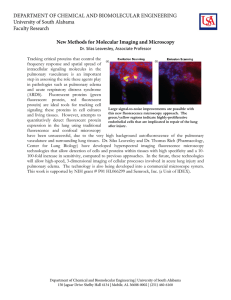 New Methods for Molecular Imaging and Microscopy