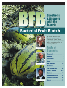 BFB Bacterial Fruit Blotch Questions &amp; Answers