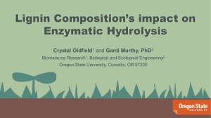 Lignin Composition’s impact on Enzymatic Hydrolysis Crystal Oldfield Ganti Murthy, PhD