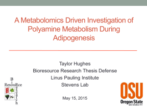 A Metabolomics Driven Investigation of Polyamine Metabolism During Adipogenesis Taylor Hughes