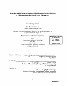 Detection  and Characterization of Rat Hepatic  Stellate ... a  3-Dimensional,  Perfused, Liver Bioreactor