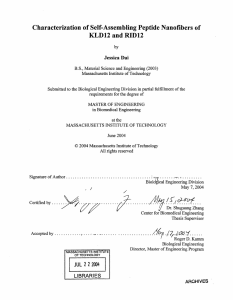 Characterization of Self-Assembling  Peptide Nanofibers  of