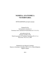 NOMINA ANATOMICA VETERINARIA FIFTH EDITION (revised version)