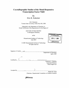 Transcription Factor NikR Crystallographic  Studies of the Metal-Responsive By Eric R. Schreiter