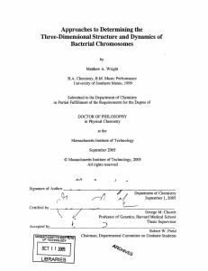 Approaches to Determining the Three-Dimensional Structure and Dynamics of Bacterial Chromosomes