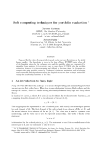 Soft computing techniques for portfolio evaluation