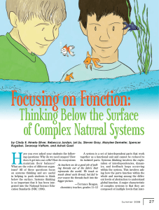 Focusing on Function:  Thinking Below the Surface of Complex Natural Systems