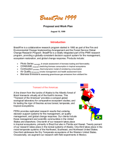 BrasilFire 1999  Proposal and Work Plan Introduction