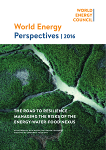 World Energy Perspectives  2016