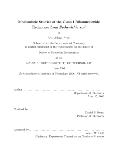 Mechanistic Studies of the Class I Ribonucleotide Reductase from Escherichia coli