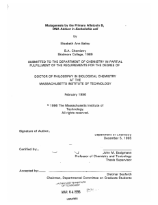 Mutagenesis  by  the  Primary  Aflatoxin B, Escherichia SUBMITTED FULFILLMENT