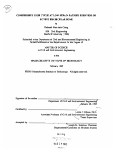 COMPRESSIVE  HIGH CYCLE  AT  LOW  STRAIN ... BOVINE  TRABECULAR  BONE by Deborah  Wen-hsin  Cheng