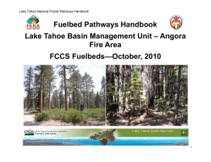 Fuelbed Pathways Handbook Lake Tahoe Basin Management Unit – Angora Fire Area
