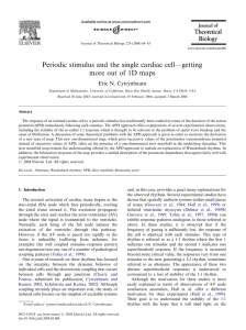 Periodic stimulus and the single cardiac cell—getting Eric N. Cytrynbaum