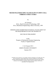 MICRO/MACROSCOPIC FLUID FLOW IN OPEN CELL FIBROUS STRUCTURES