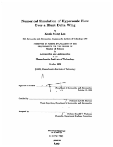 Numerical  Simulation  of  Hypersonic  Flow