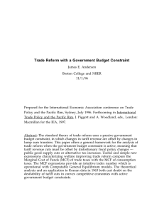 Trade Reform with a Government Budget Constraint