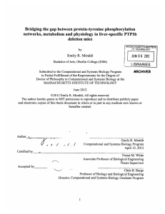 Bridging the gap  between  protein-tyrosine  phosphorylation