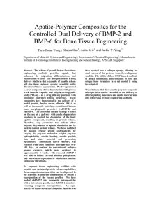 Apatite-Polymer Composites for the Controlled Dual Delivery of BMP-2 and
