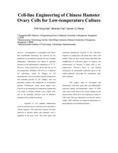 Cell-line Engineering of Chinese Hamster Ovary Cells for Low-temperature Culture
