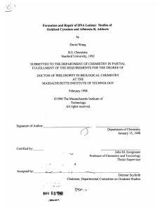 Formation and Repair of DNA  Lesions:  Studies ... Oxidized  Cytosines  and Aflatoxin  B,  Adducts by