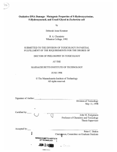 Oxidative  DNA  Damage:  Mutagenic  Properties of... Eschericia coli