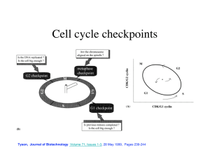 Cell cycle checkpoints Tyson,  Journal of Biotechnology Volume 71, Issues 1-3