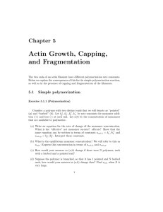 Actin Growth, Capping, and Fragmentation Chapter 5