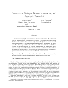 Intersectoral Linkages, Diverse Information, and Aggregate Dynamics