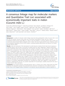 A consensus linkage map for molecular markers
