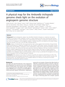 A physical map for the Amborella trichopoda angiosperm genome structure