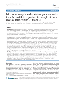 Microarray analysis and scale-free gene networks identify candidate regulators in drought-stressed