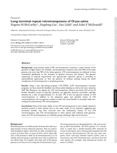 Oryza sativa Eugene M McCarthy*, Jingdong Liu Research