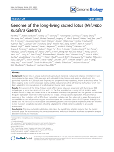 Genome of the long-living sacred lotus (Nelumbo nucifera Gaertn.) Open Access