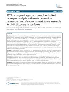 BSTA: a targeted approach combines bulked segregant analysis with next- generation