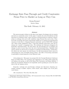 Exchange Rate Pass-Through and Credit Constraints: Georg Strasser